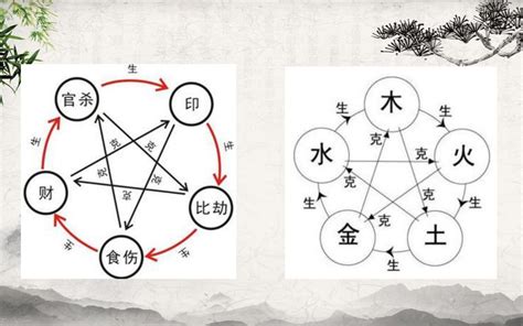 我生為食傷|易經學堂：十神綜述